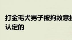 打金毛犬男子被拘故意损坏公私财物罪是怎样认定的