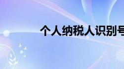 个人纳税人识别号在哪里查询