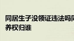 同居生子没领证违法吗同居生子没领证孩子抚养权归谁