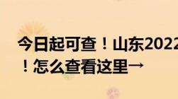 今日起可查！山东2022夏季合格考成绩出炉！怎么查看这里→