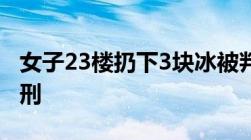 女子23楼扔下3块冰被判刑高空抛物罪怎么量刑