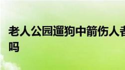 老人公园遛狗中箭伤人者构成过失致人重伤罪吗