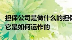 担保公司是做什么的担保公司经营范围是什么它是如何运作的