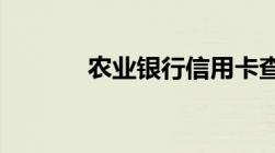 农业银行信用卡查询申请进度