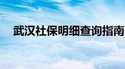 武汉社保明细查询指南 方法+入口+流程