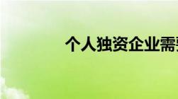 个人独资企业需要交什么税