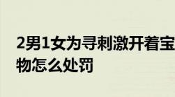 2男1女为寻刺激开着宝马偷西瓜 盗窃他人财物怎么处罚