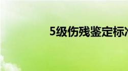 5级伤残鉴定标准是怎样的