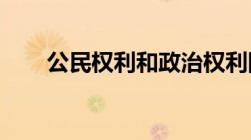 公民权利和政治权利国际公约是怎样