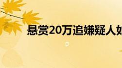 悬赏20万追嫌疑人如何追捕嫌疑人