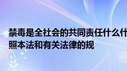 禁毒是全社会的共同责任什么什么什么以及其他什么应当依照本法和有关法律的规