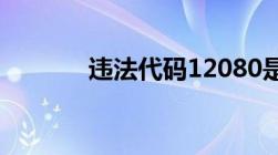 违法代码12080是怎么处理的