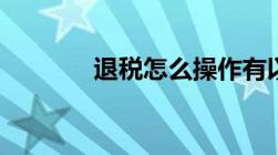 退税怎么操作有以下8个流程