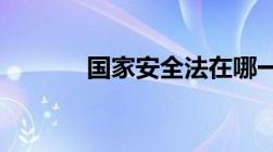 国家安全法在哪一年开始实行