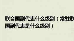 联合国副代表什么级别（常驻联合国代表是什么意思和联合国副代表是什么级别）