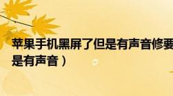 苹果手机黑屏了但是有声音修要多少钱（苹果手机黑屏了但是有声音）