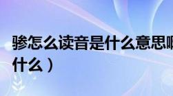 骖怎么读音是什么意思啊英语（骖怎么读音是什么）