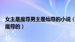 女主是魔尊男主是仙尊的小说（有哪些小说女主一出场就是魔尊的）