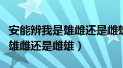 安能辨我是雄雌还是雌雄中的安（安能辨我是雄雌还是雌雄）