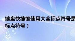 键盘快捷键使用大全标点符号是什么（键盘快捷键使用大全标点符号）