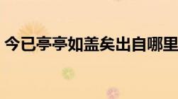 今已亭亭如盖矣出自哪里（今已亭亭如盖矣）