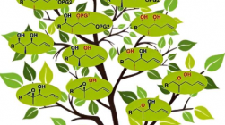 化学家用一种起始材料生产出所有八种可能的聚丙酸酯结构单元变体