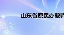 山东省原民办教师补助新政策