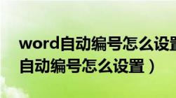 word自动编号怎么设置成正文格式（word自动编号怎么设置）