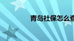 青岛社保怎么查个人帐户