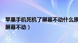 苹果手机死机了屏幕不动什么原因（苹果手机死机了怎么办屏幕不动）