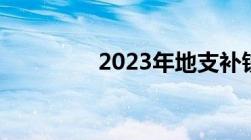 2023年地支补钱怎么查询