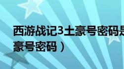 西游战记3土豪号密码是多少（西游战记3土豪号密码）