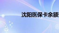 沈阳医保卡余额查询怎么查