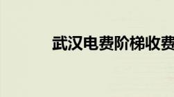 武汉电费阶梯收费标准2022年