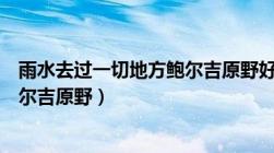 雨水去过一切地方鲍尔吉原野好句（雨水去过的一切地方鲍尔吉原野）