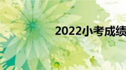 2022小考成绩如何查询