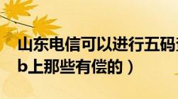 山东电信可以进行五码查询吗（免费的不要tb上那些有偿的）