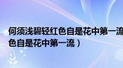 何须浅碧轻红色自是花中第一流是什么意思（何须浅碧轻红色自是花中第一流）