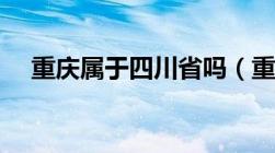 重庆属于四川省吗（重庆市属于哪个省）