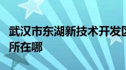 武汉市东湖新技术开发区交通违章处理的车管所在哪