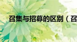 召集与招募的区别（召集和招集的区别）