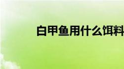 白甲鱼用什么饵料钓（白甲鱼）