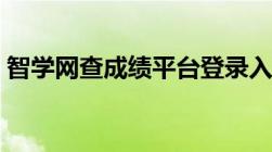 智学网查成绩平台登录入口（智学网查成绩）