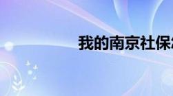 我的南京社保怎么查询