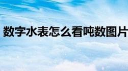 数字水表怎么看吨数图片（数字水表怎么看）