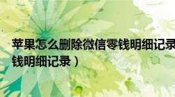 苹果怎么删除微信零钱明细记录（苹果手机如何删除微信零钱明细记录）