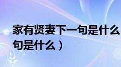 家有贤妻下一句是什么 横祸（家有贤妻下一句是什么）