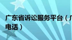 广东省诉讼服务平台（广东诉讼服务平台官网电话）