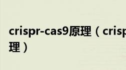 crispr-cas9原理（crispr amp  47 cas9的原理）