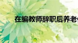 在编教师辞职后养老保险是怎么处理